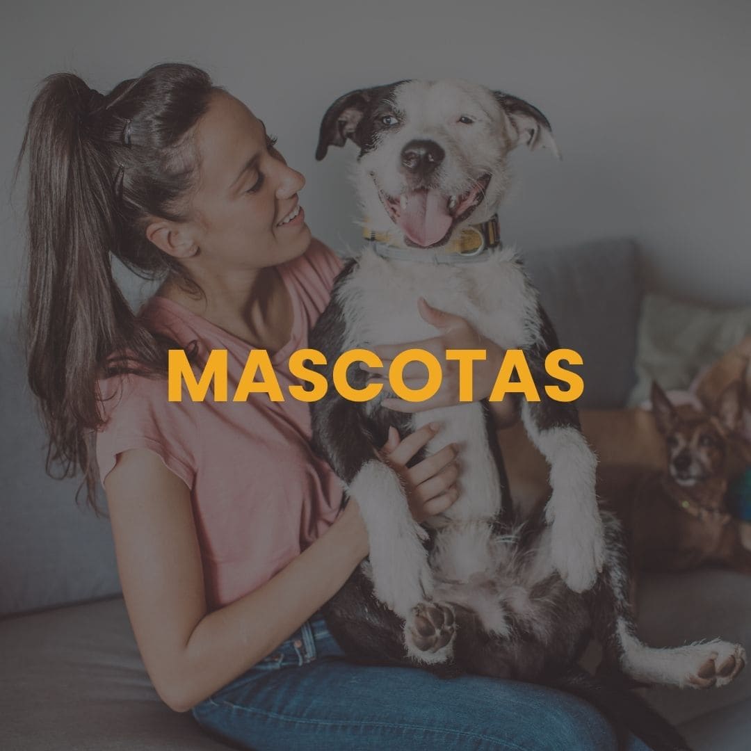 Mascotas
